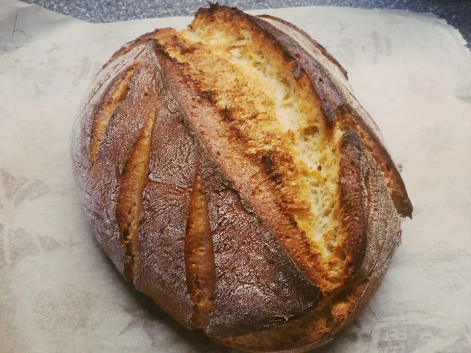 Aardappelbrood