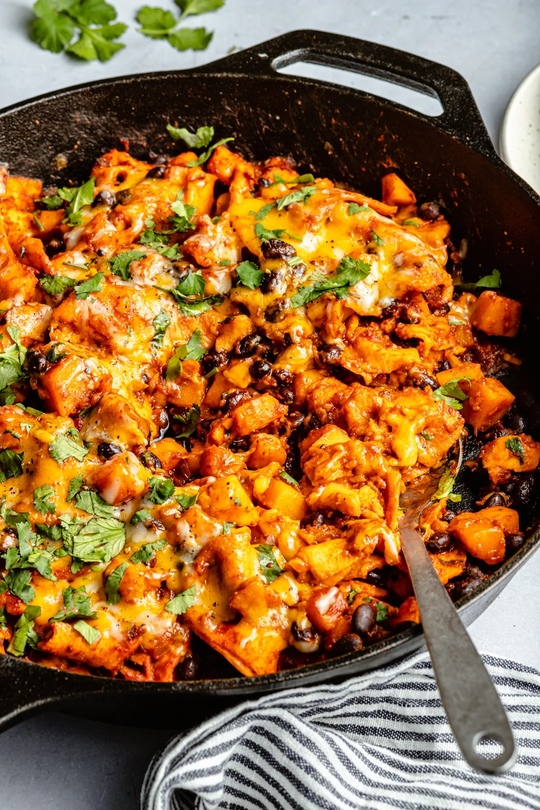 Butternut pan enchilada