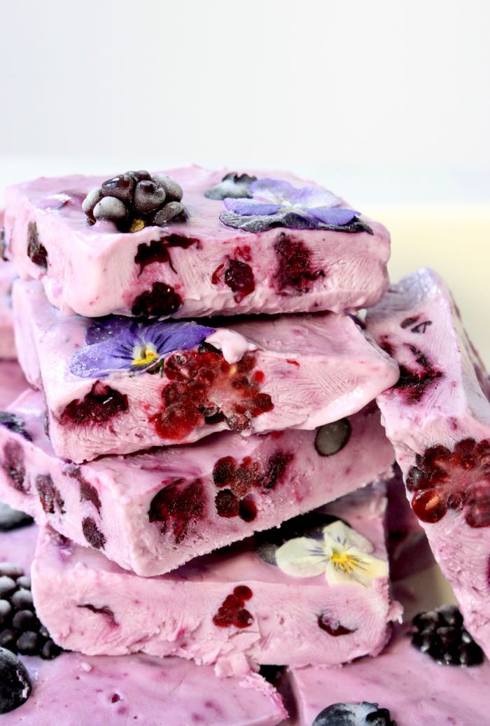 Bevroren Yoghurt bars