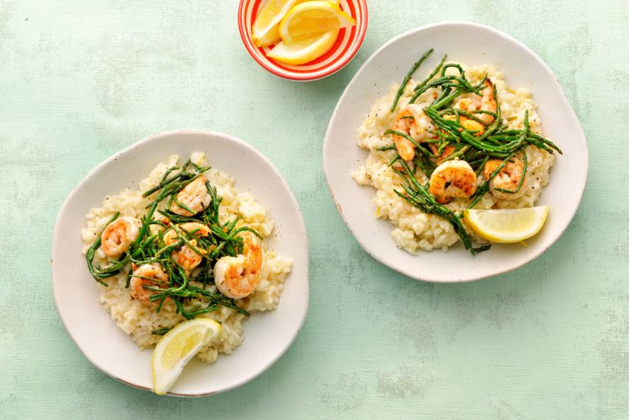 Citroenrisotto met scampi en zeekraal