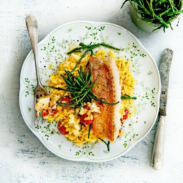 Roodbaarshaasje met romige saffraanzeekraalrisotto